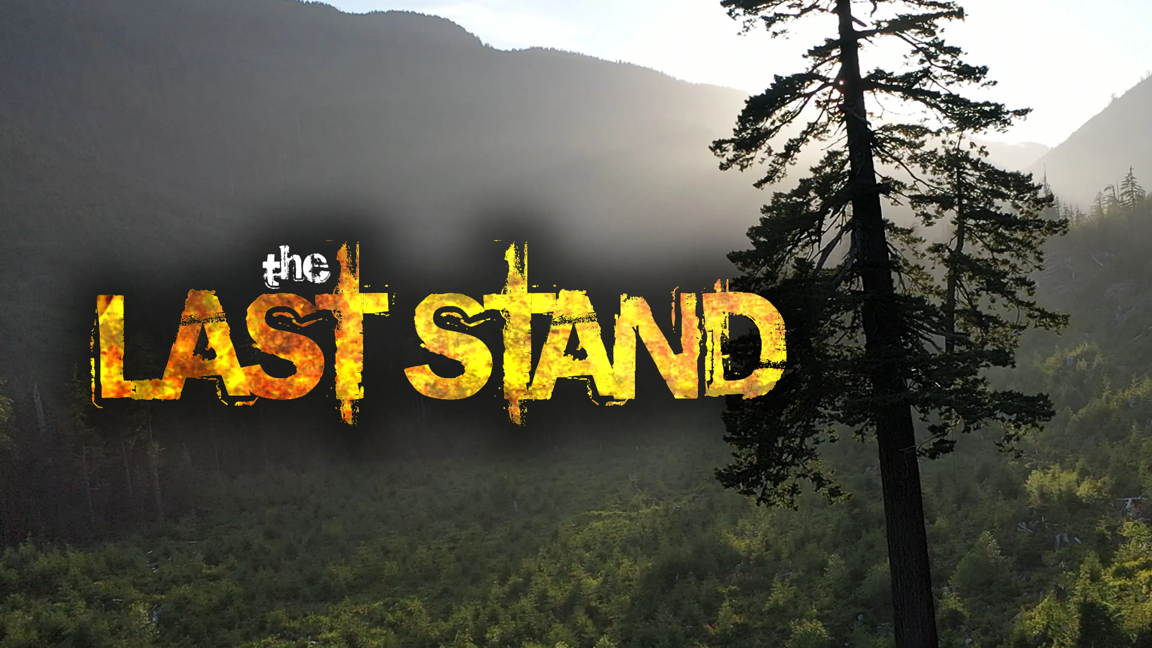 The Last Stand poster